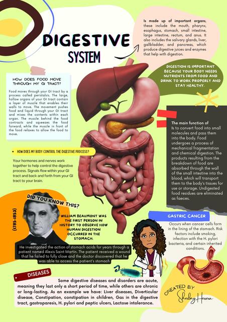 Digestive system 