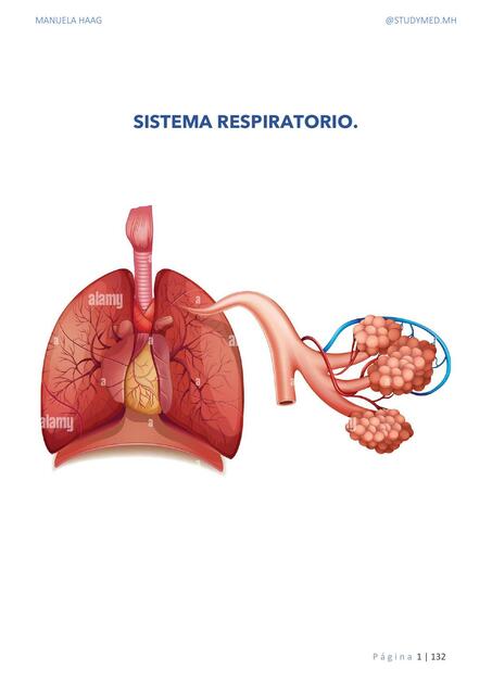 Fisiología respiratoria completo