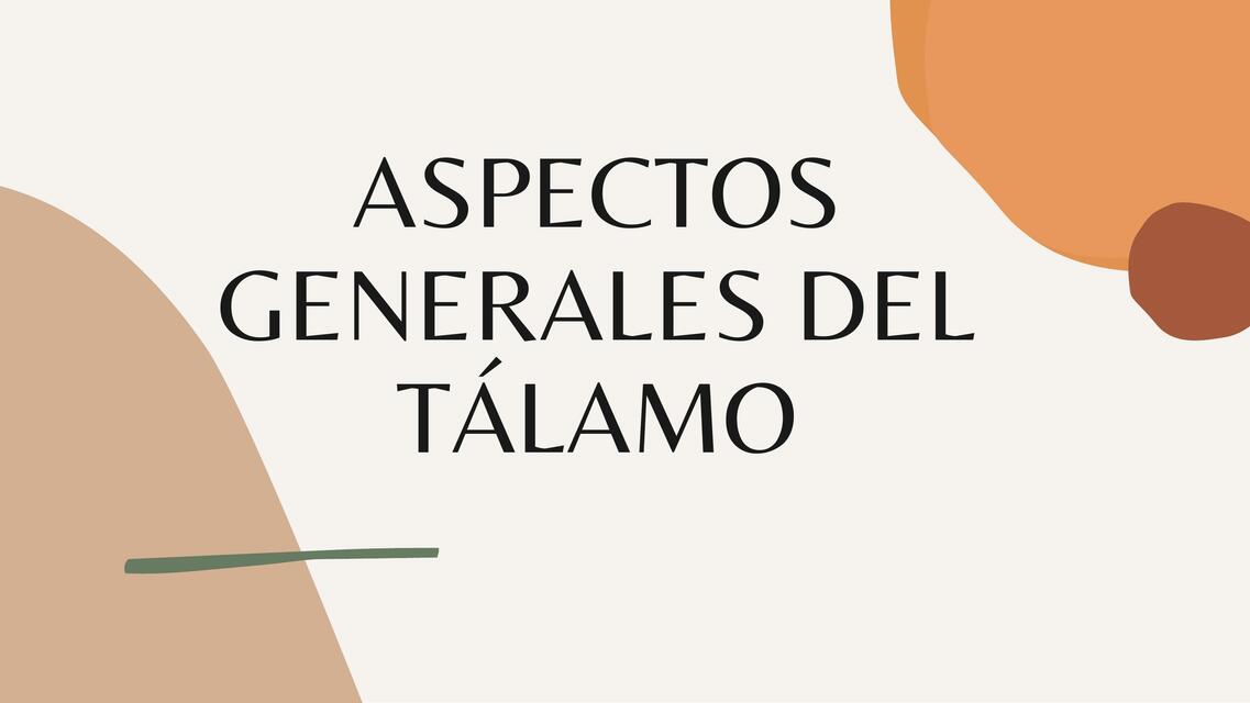 Aspectos generales del tálamo