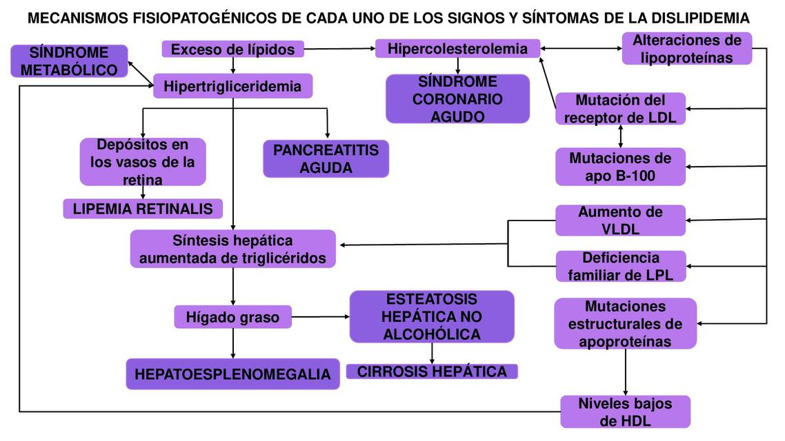 Resúmenes de Lipaemia retinalis | Descarga apuntes de Lipaemia retinalis
