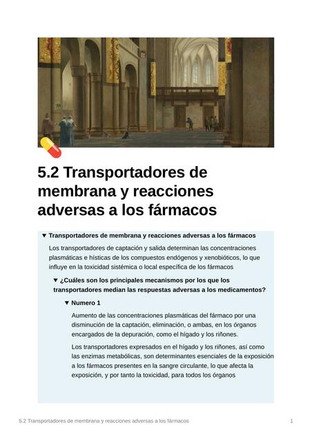 Transportadores De Membrana Y Reacciones Adversas A Los Fármacos Espm