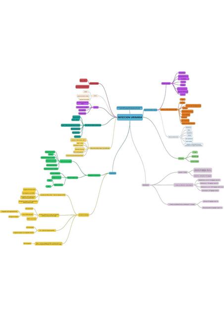 Infección Urinaria 