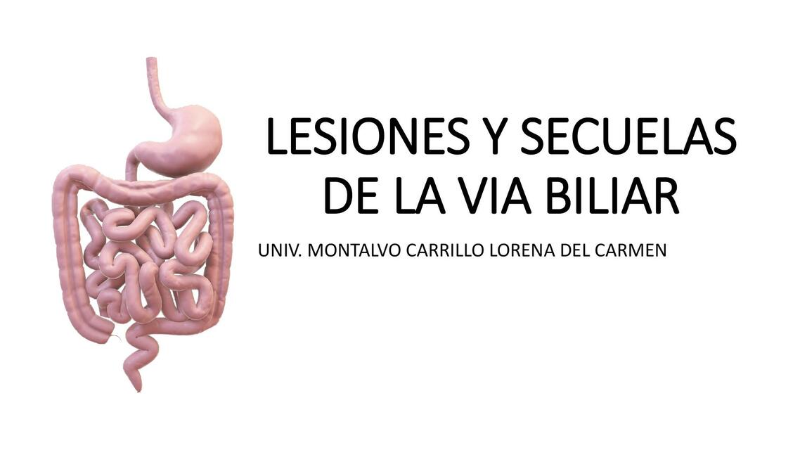 Lesiones y secuelas de la vida biliar