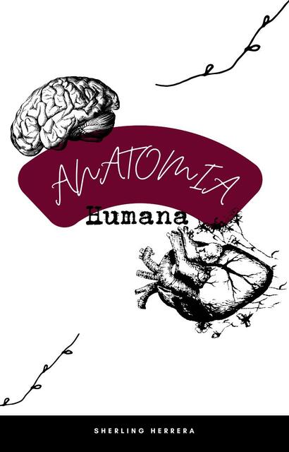 Anatomía humana