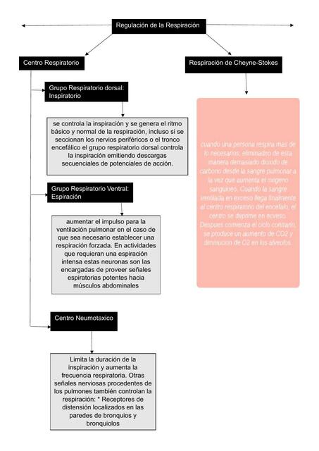 Regulación de la Respiración