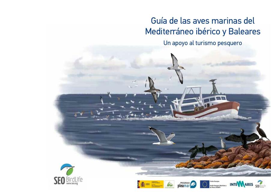 Guía de las Aves Marinas del Mediterráneo Ibérico y Baleares