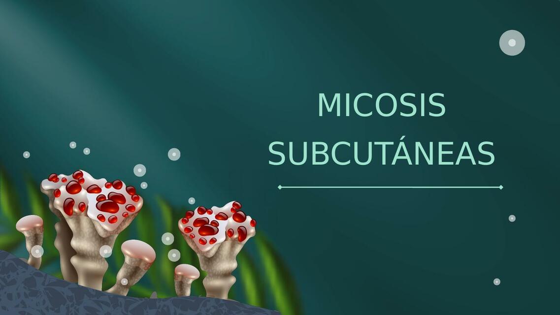 Micosis subcutáneas