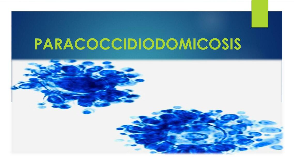 Paracoccidioidomicosis