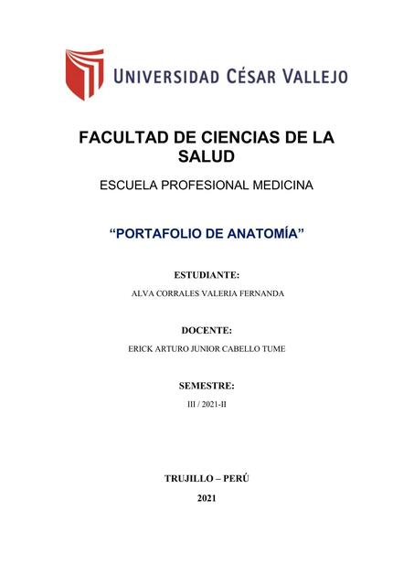 Portafolio de Anatomía 