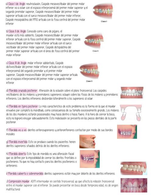 Fisiología Oral 