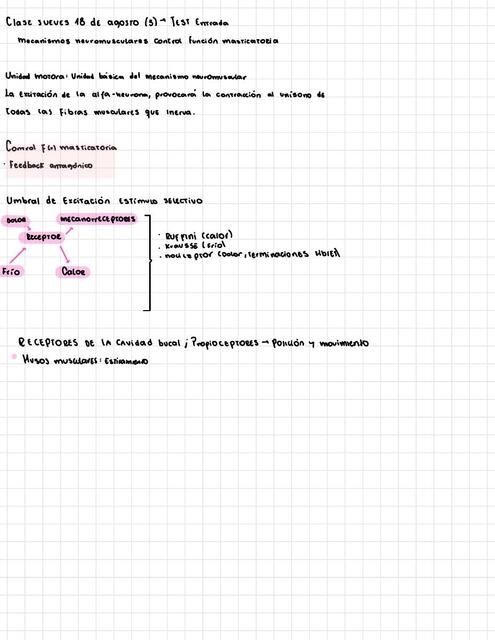 Mecanismos Neuromusculares