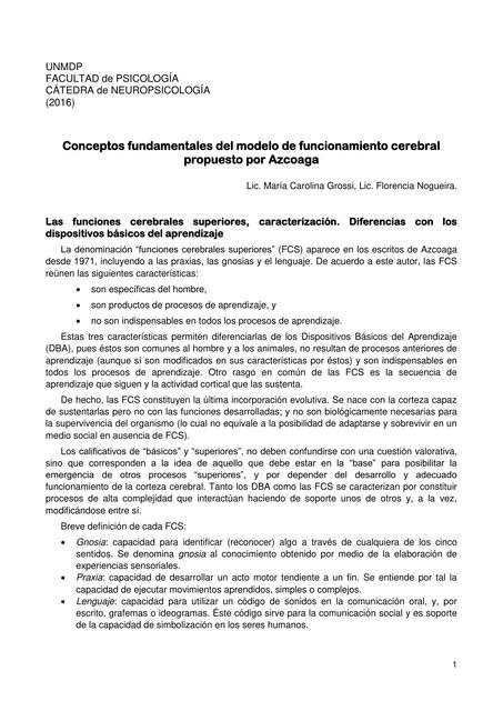 Conceptos fundamentales del modelo de funcionamiento cerebral - Lic. Maria Grossi, Lic. Florencia Nogueira