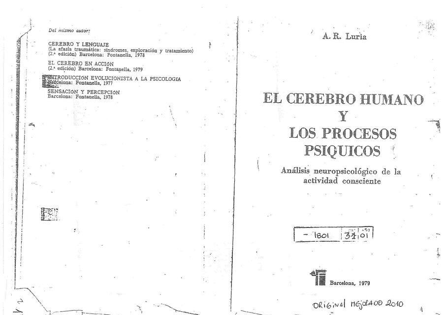 El cerebro humano y los procesos psíquicos