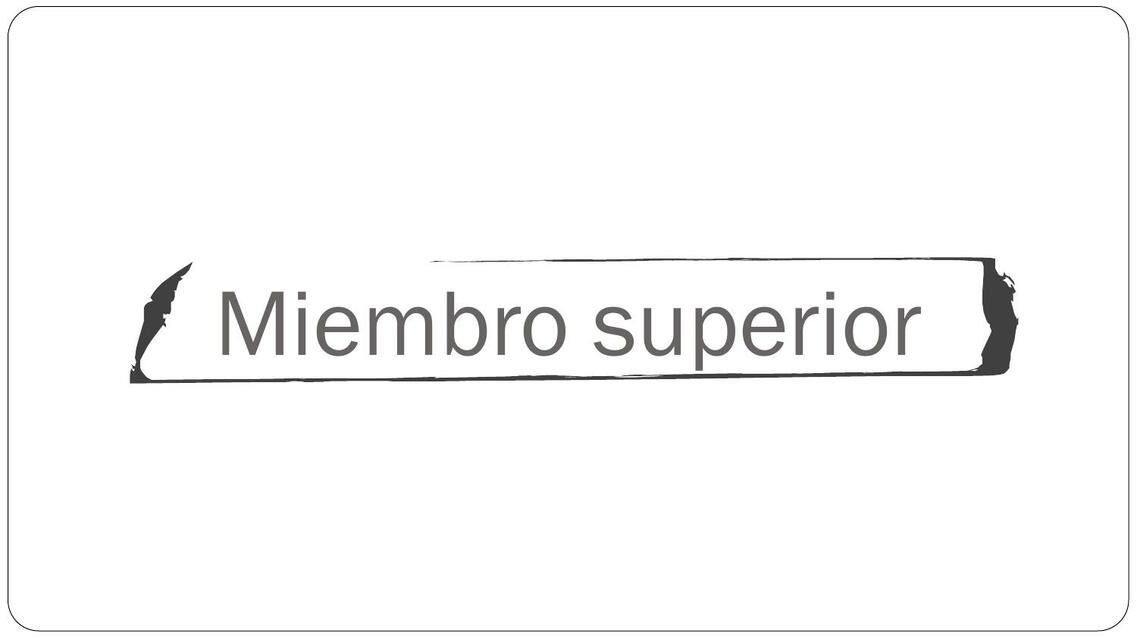 Miembro Superior 