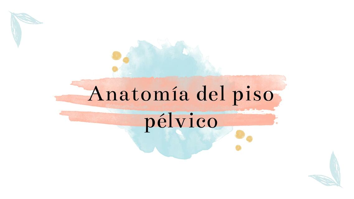 Anatomía del Piso Pélvico