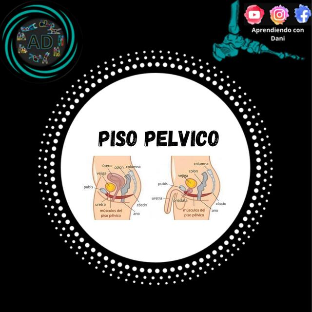 Piso Pelvico