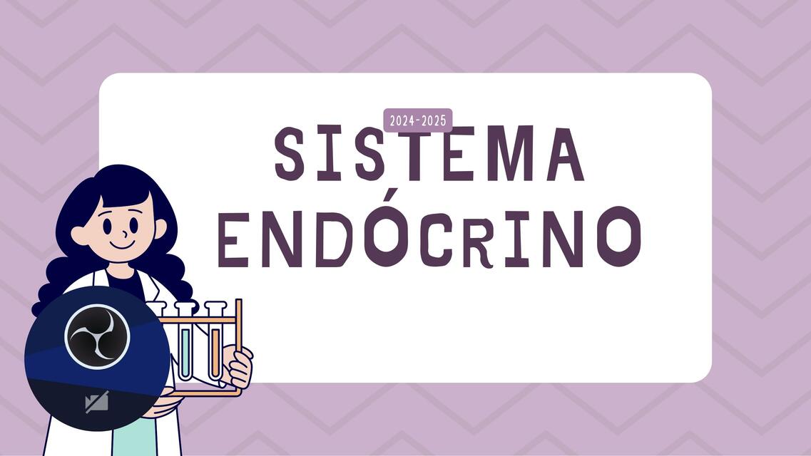 Sistema Endócrino 