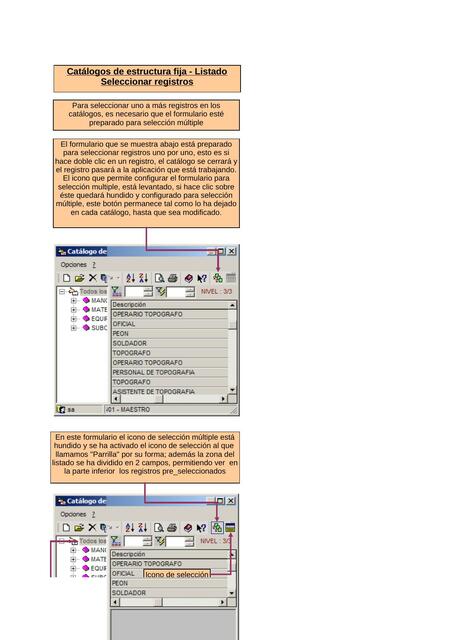 Catálogos de Estructura Fija - Listado Seleccionar Registros