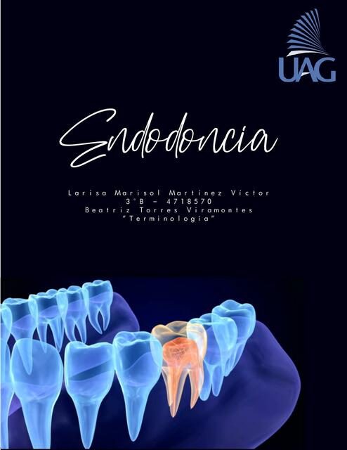 Terminología Endodóntica 