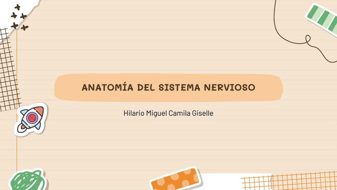 Anatomía del Sistema Nervioso 