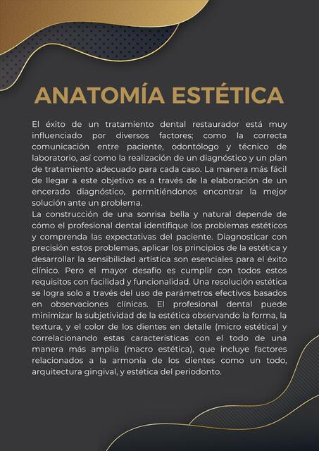 Anatomía Estética