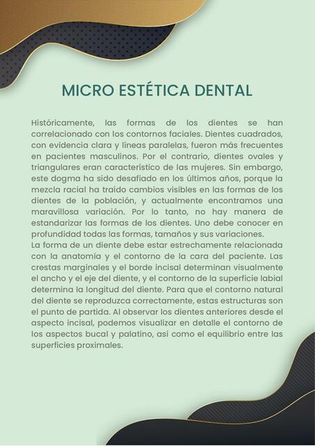 Micro Estética Dental