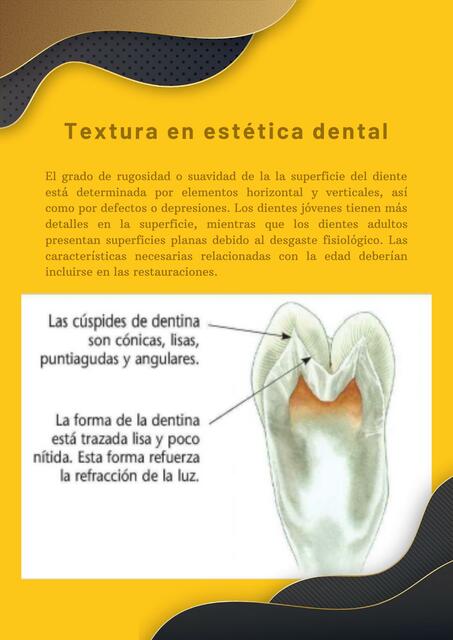 Textura en estética dental