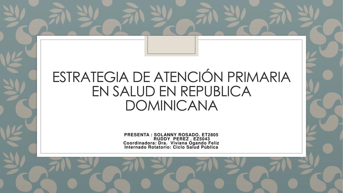 Estrategia de atención primaria en salud en República Dominicana