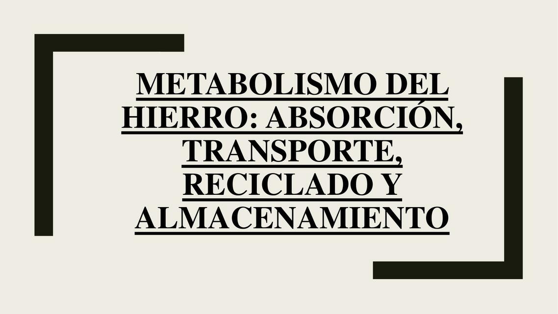 Metabolismo del hierro: absorción, transporte, reciclado y almacenamiento