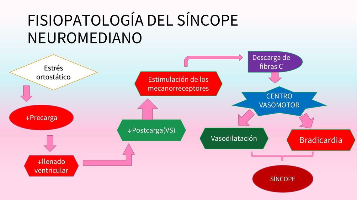 Fisiopatología del Síncope Neuromediano 