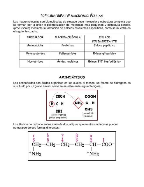 Precursores de macromoléculas