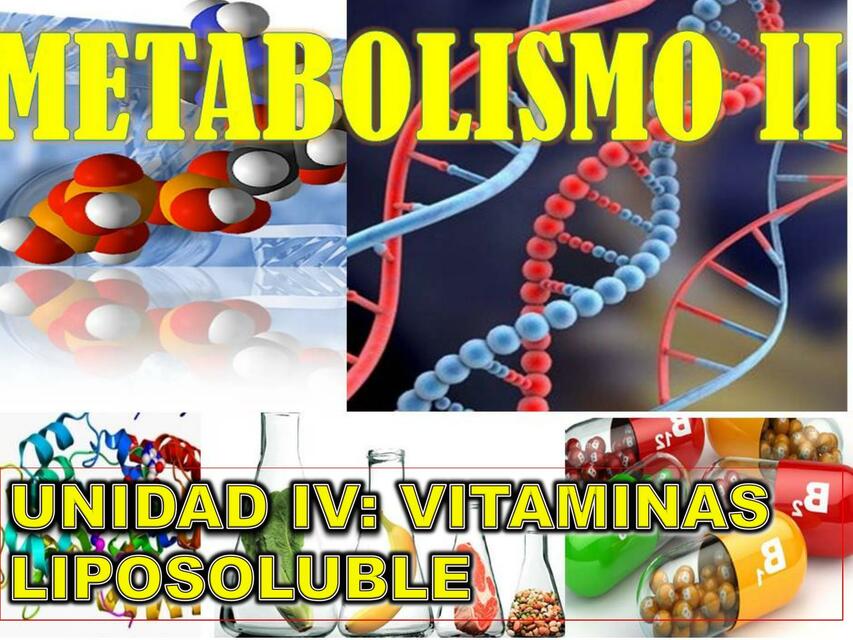 Vitaminas y nutrientes liposolubles