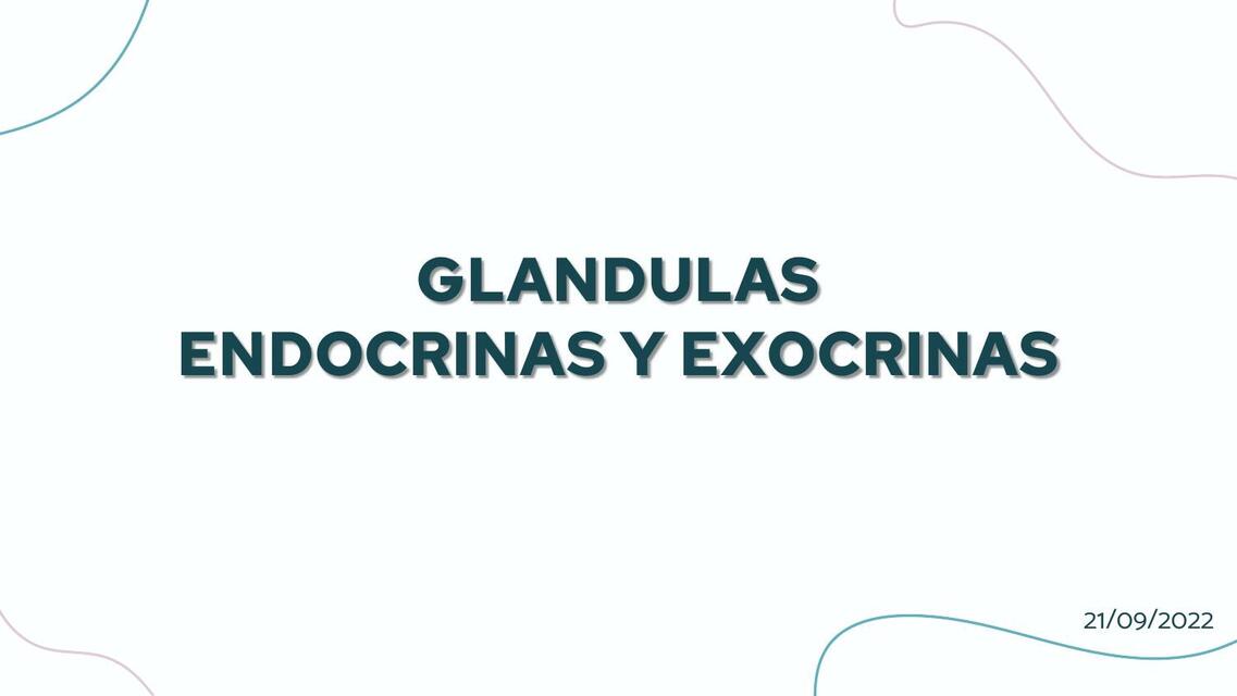 Glándulas Endocrinas y Exocrinas