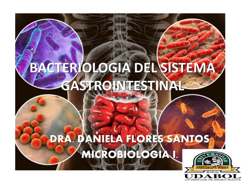 Bacteriología del sistema gastrointestinal 