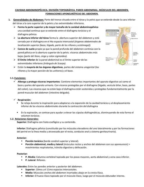 Cavidad abdominopélvica