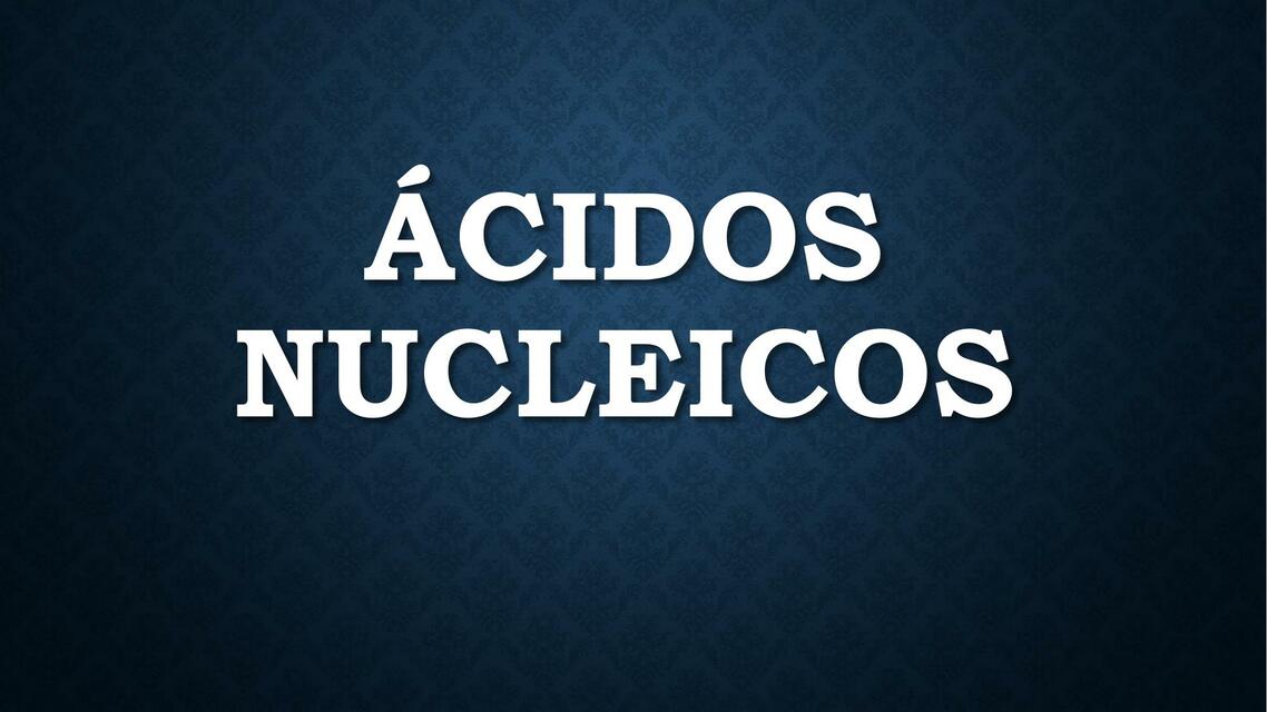 Ácidos Nucleicos