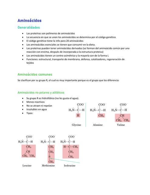 Aminoácidos