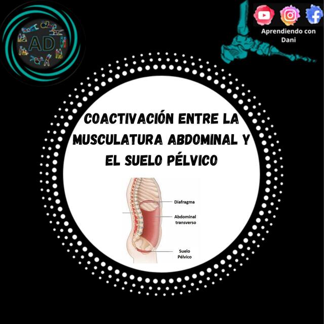 Coactivación entre la musculatura abdominal y el s