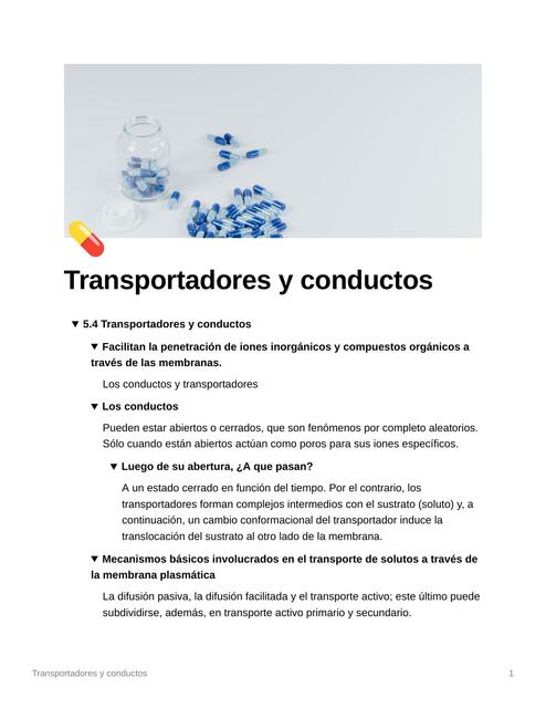 Transportadores Y Conductos Espm Medicina Udocz