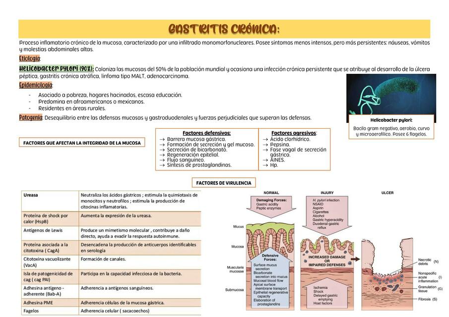 Gastritis Crónica