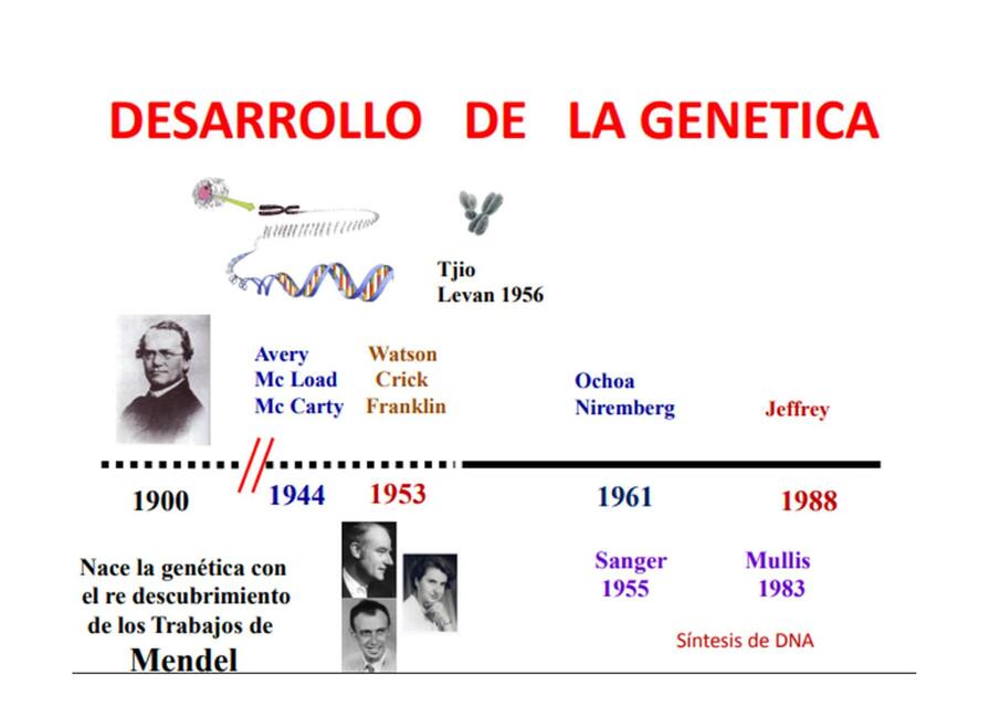 Desarrollo de la Genética 