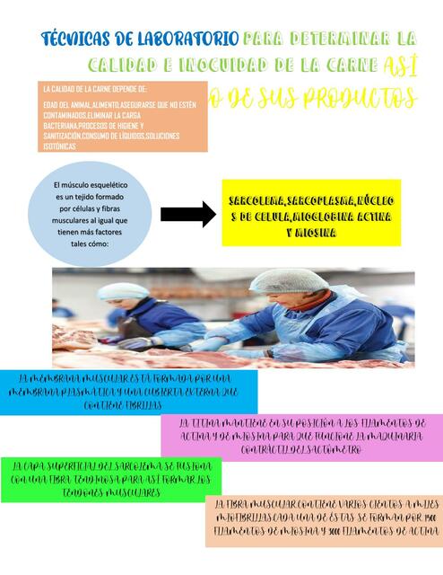 Técnicas de laboratorio para determinar la calidad e inocuidad de la carne 