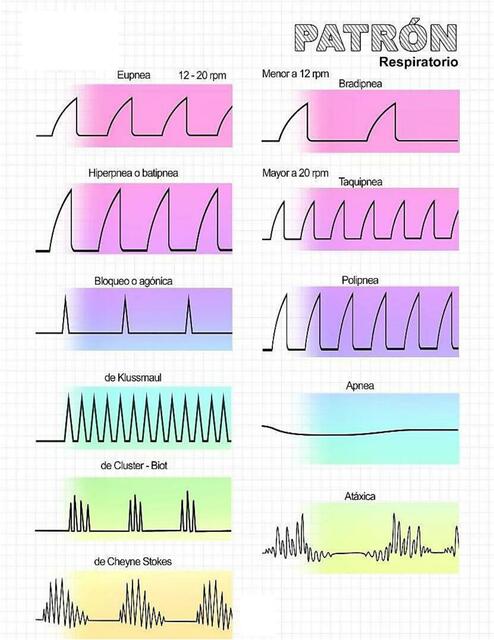 Patrón respiratorio