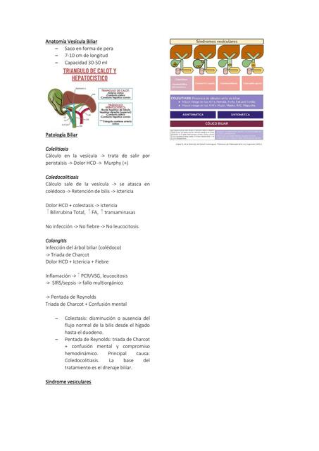 Apunte Patología Biliar