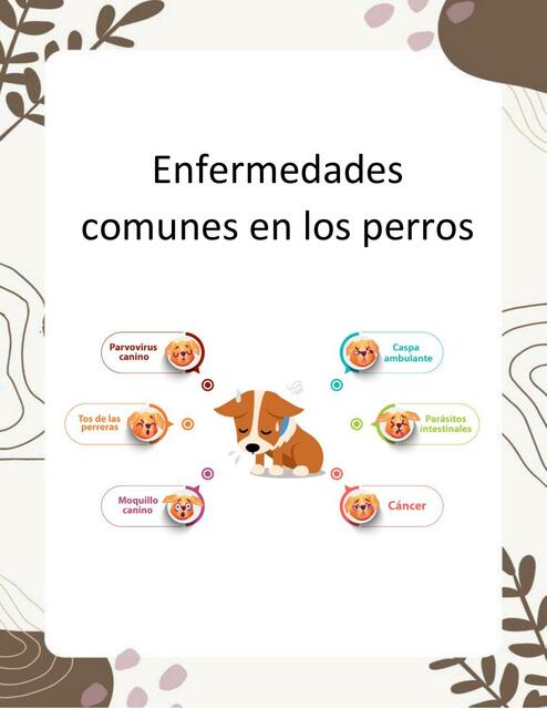 Enfermedades comunes en los perros