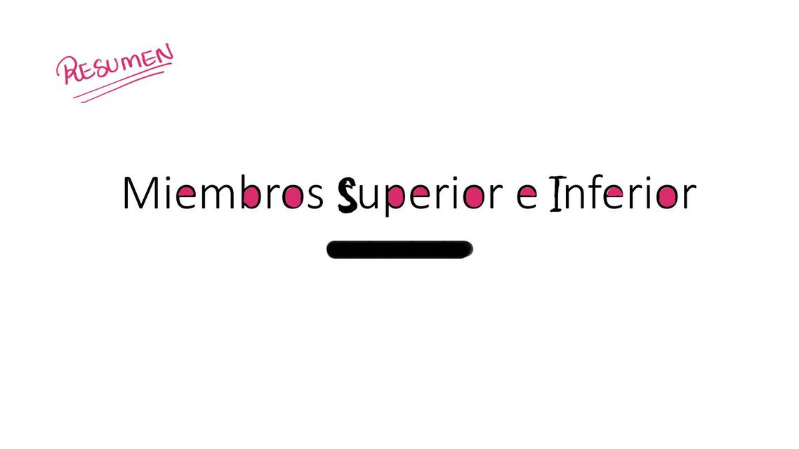 Miembros Superior e Inferior <Resumen>