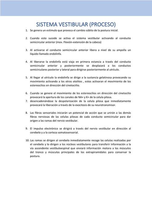 Sistema Vestibular 