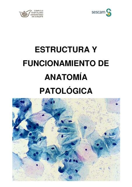 Estructura Y Funcionamiento De Anatom a Patol gica