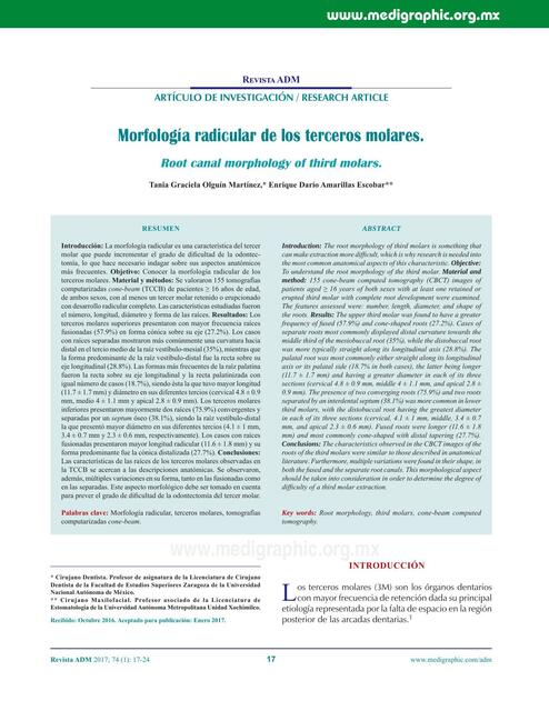 Morfología Radicular de los Terceros Molares Superiores e Inferiores