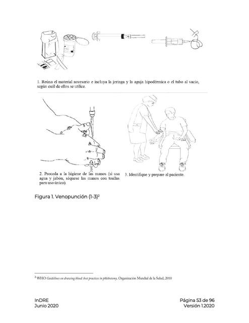 0MS Ilustración Toma Muestra Sangre 